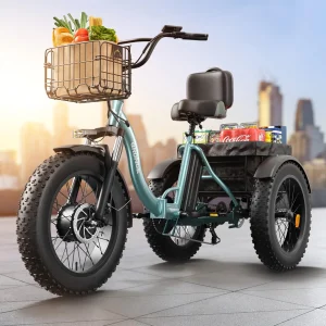 Electric Bike for Adults Folding Electric Tricycle
